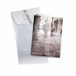 Карманы Durable, для флипчарта D8560, А4, 10 штук